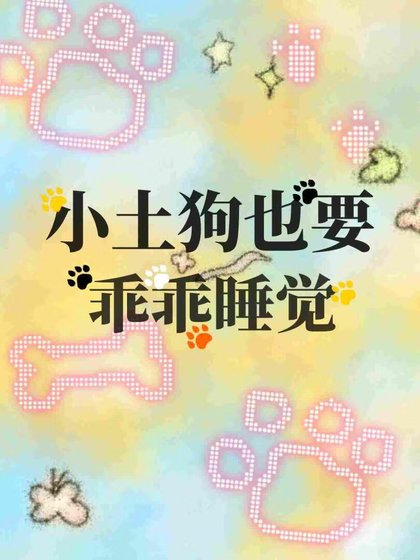 小土狗也要乖乖睡觉